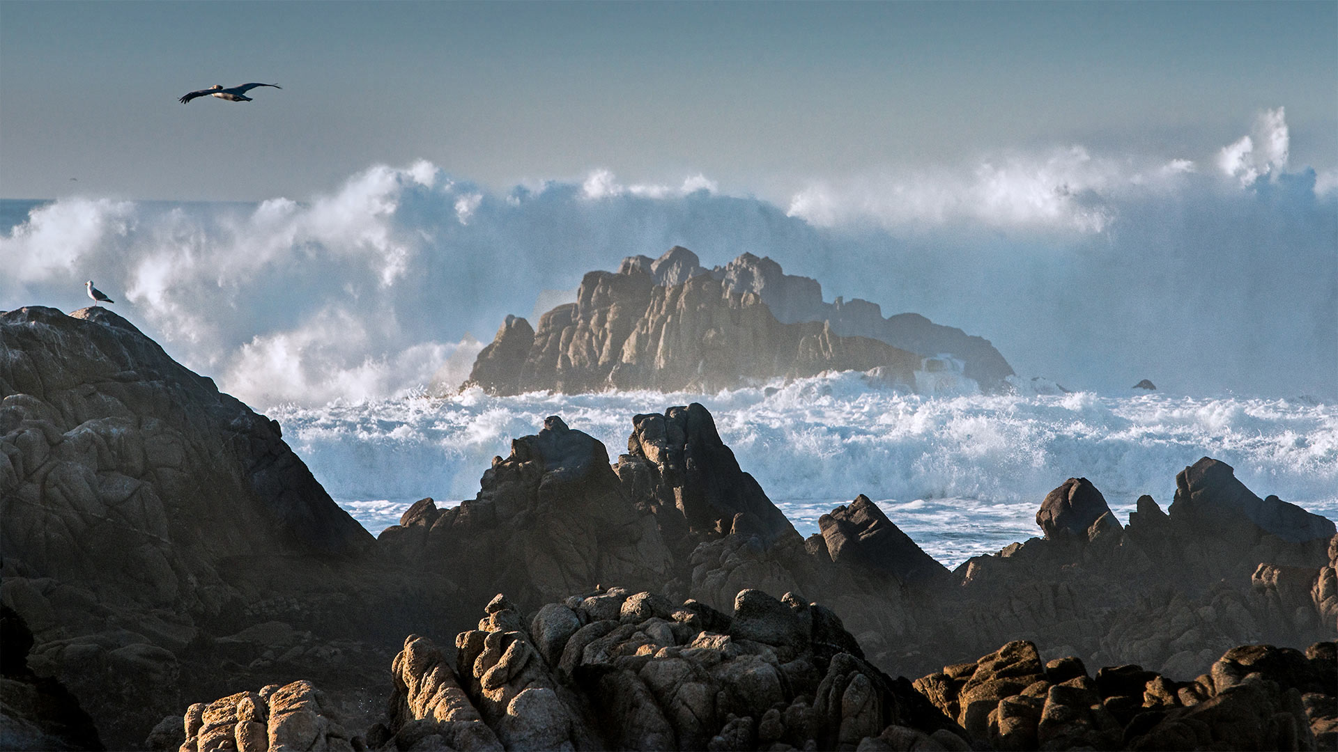 Huge waves crashing on rocks along Asilomar State Beach, Pacific Grove, California - Sheila Haddad/Danita Delimont)