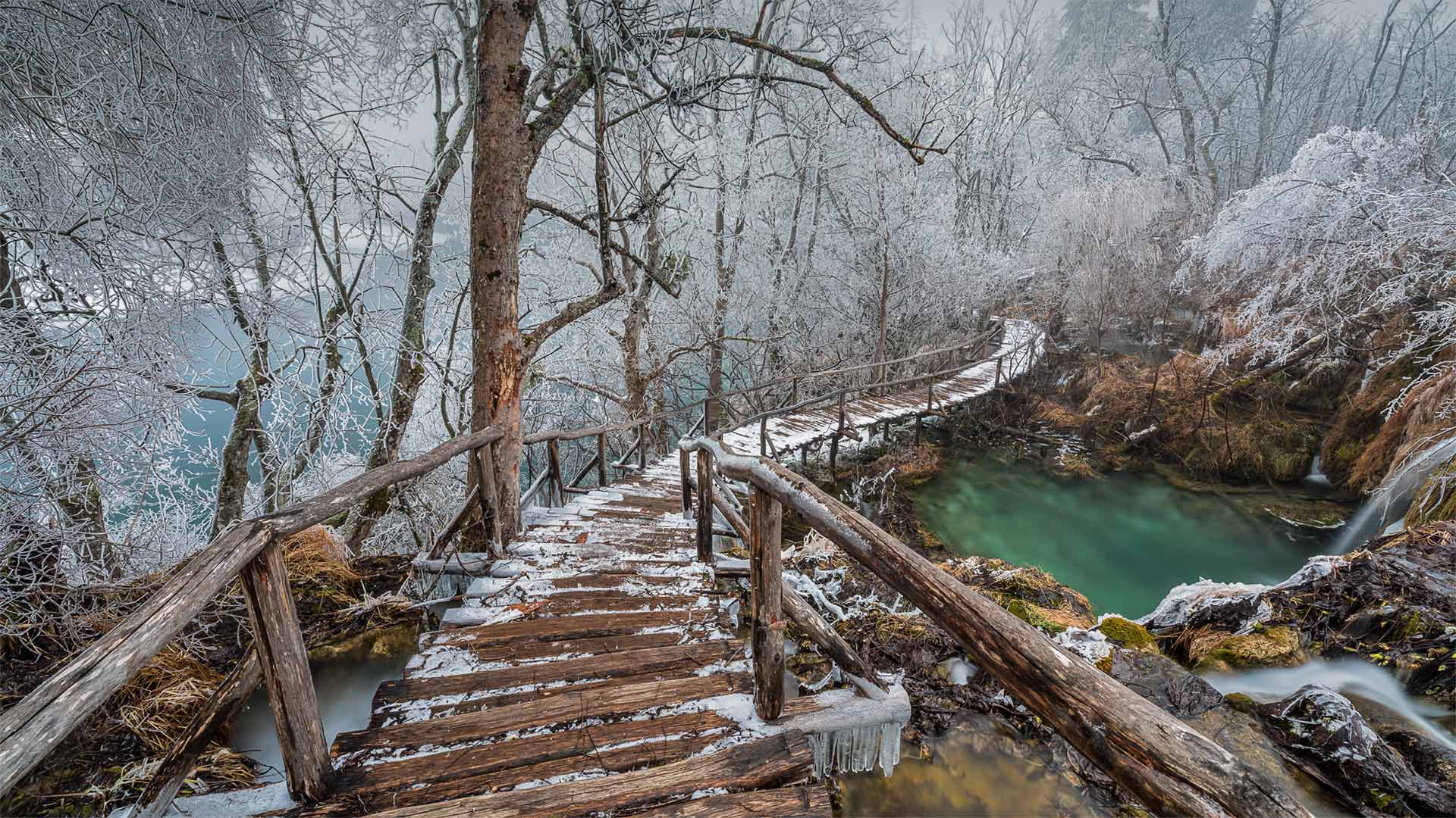 Elevated path in Plitvice Lakes National Park, Croatia - Alessandro Laporta/Offset by Shutterstock)