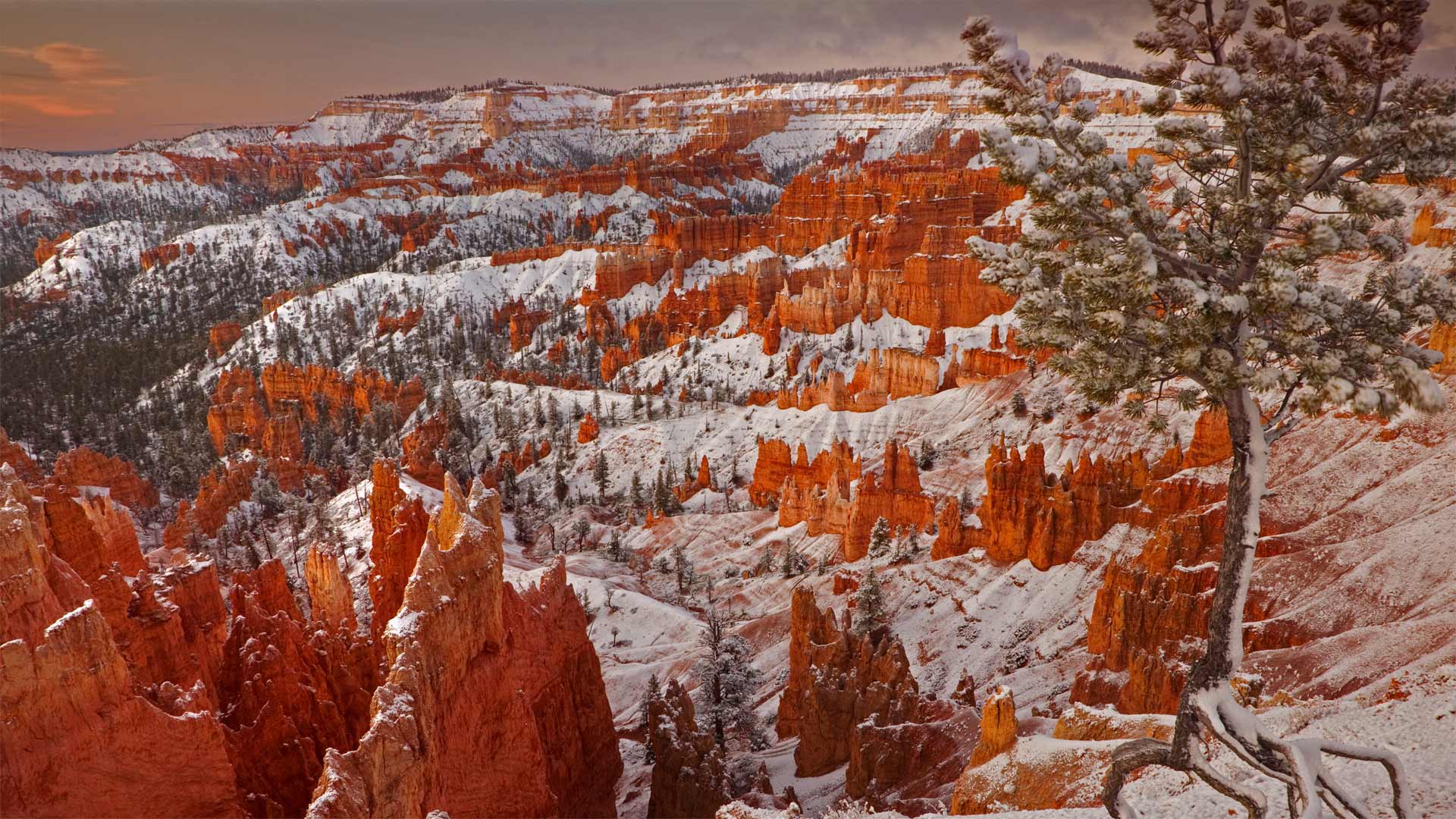 Winter in Bryce Canyon National Park, Utah - Don Paulson/Danita Delimont)