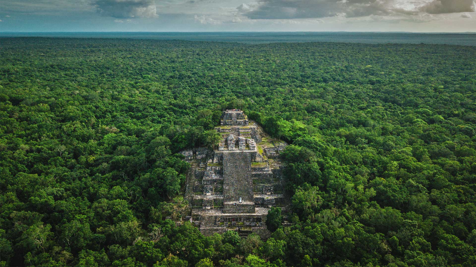 Ruins of the ancient Maya city of Calakmul surrounded by jungle in Campeche, Mexico - Alfredo Matus/Shutterstock)