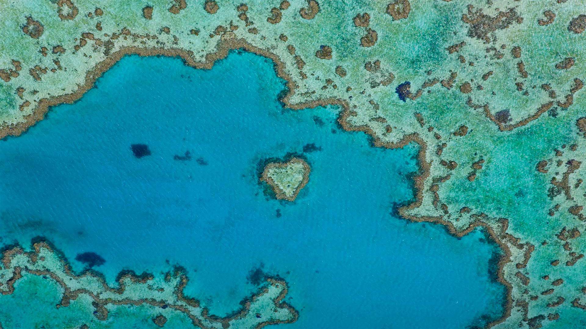 Heart Reef, part of the Great Barrier Reef off Queensland, Australia - Peter Adams/Offset by Shutterstock)