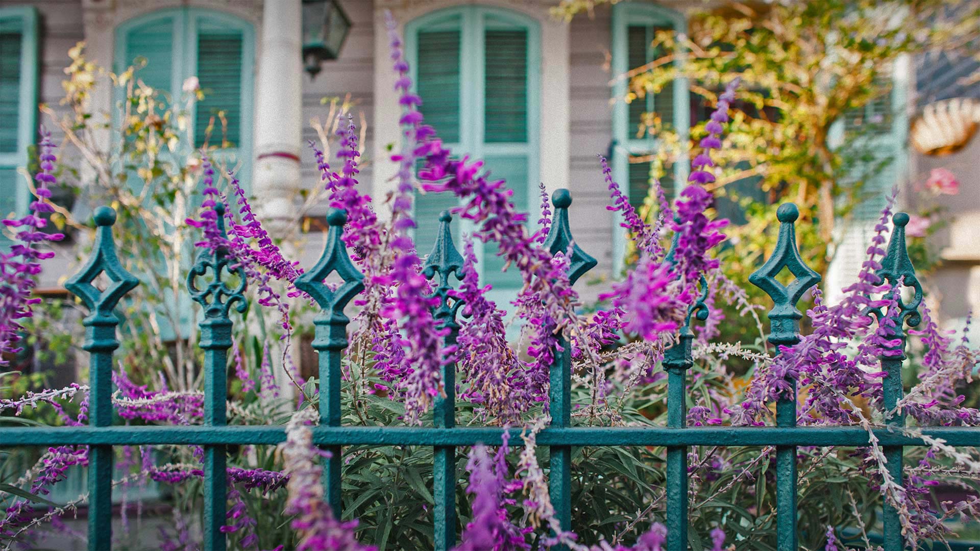 Flowers and an ironwork fence in front of a house in New Orleans, Louisiana - Lauren Mitchell/Offset by Shutterstock)