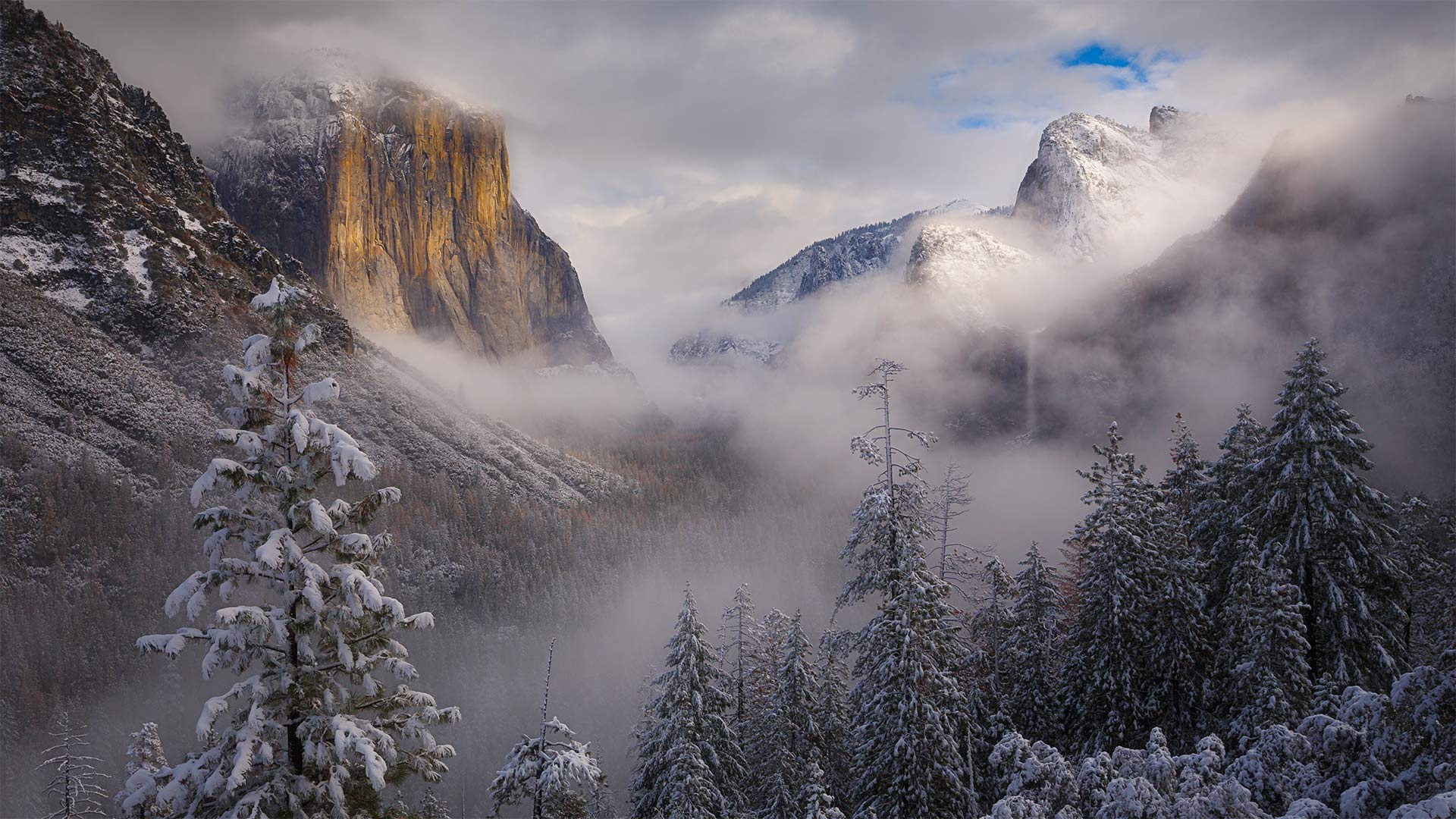 Clearing snowstorm, Yosemite National Park, California - Jeff Lewis/Tandem Stills + Motion)