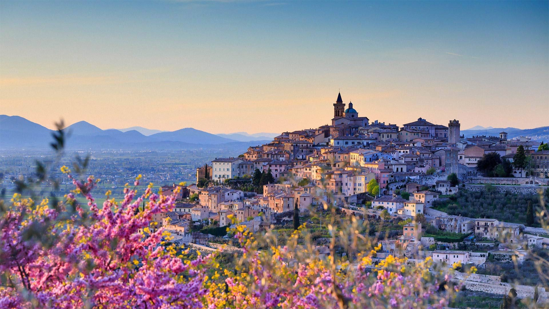 Almond blossoms overlooking Trevi, Umbria, Italy - Maurizio Rellini/eStock Photo)