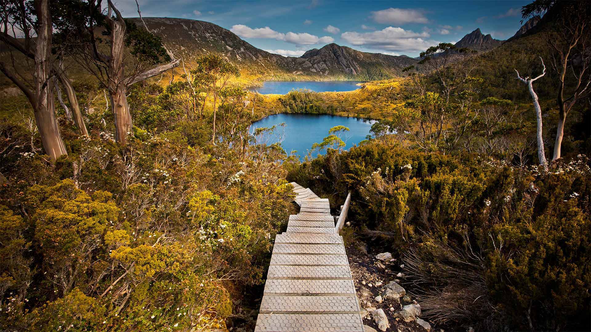 Cradle Mountain-Lake St. Clair National Park, Tasmania, Australia - Paparwin Tanupatarachai/Getty Images)