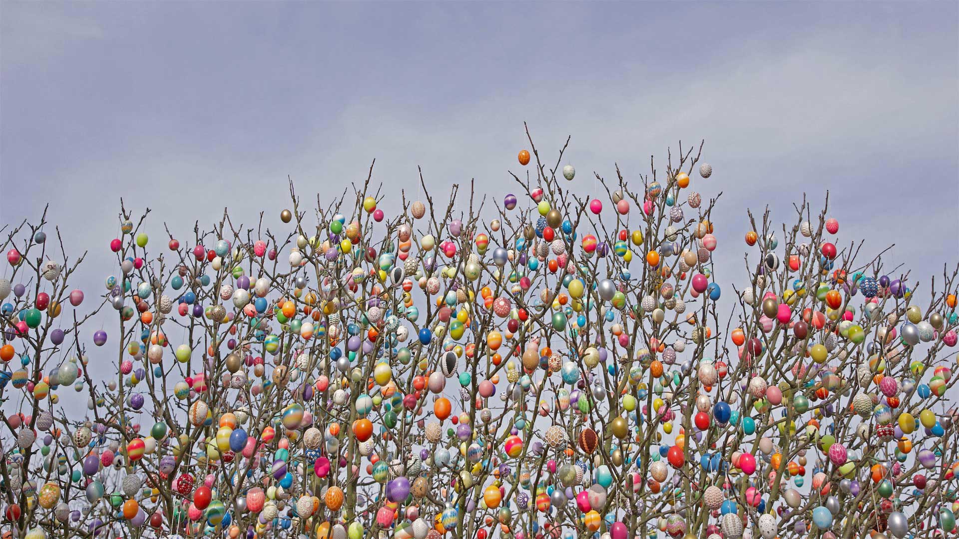 An Ostereierbaum (Easter egg tree) in Saalfeld, Germany - Rudi Sebastian/Alamy)