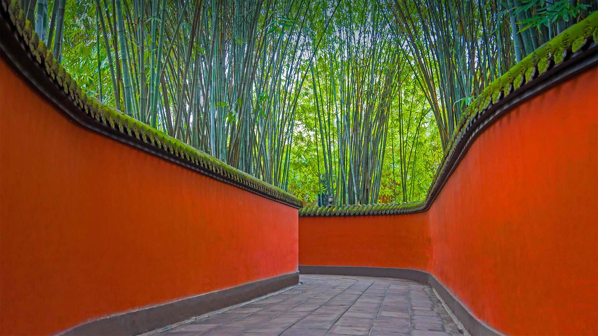 Alley and bamboo grove in Wuhou Temple, Chengdu, Sichuan province, China - Eastimages/Getty Images)