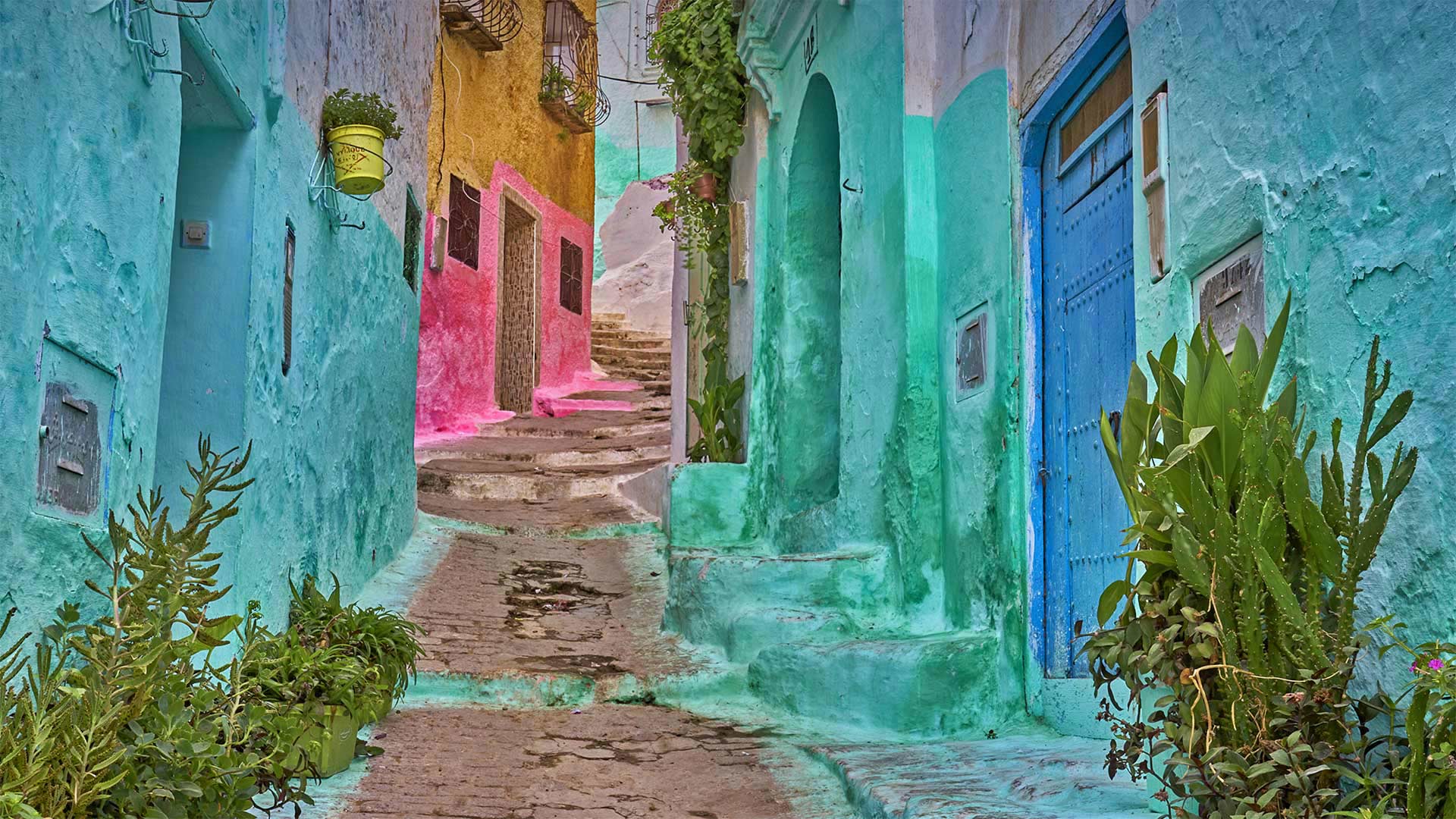 Colorful alleyway in the medina of Tétouan, Morocco - Jan Wlodarczyk/eStock Photo)