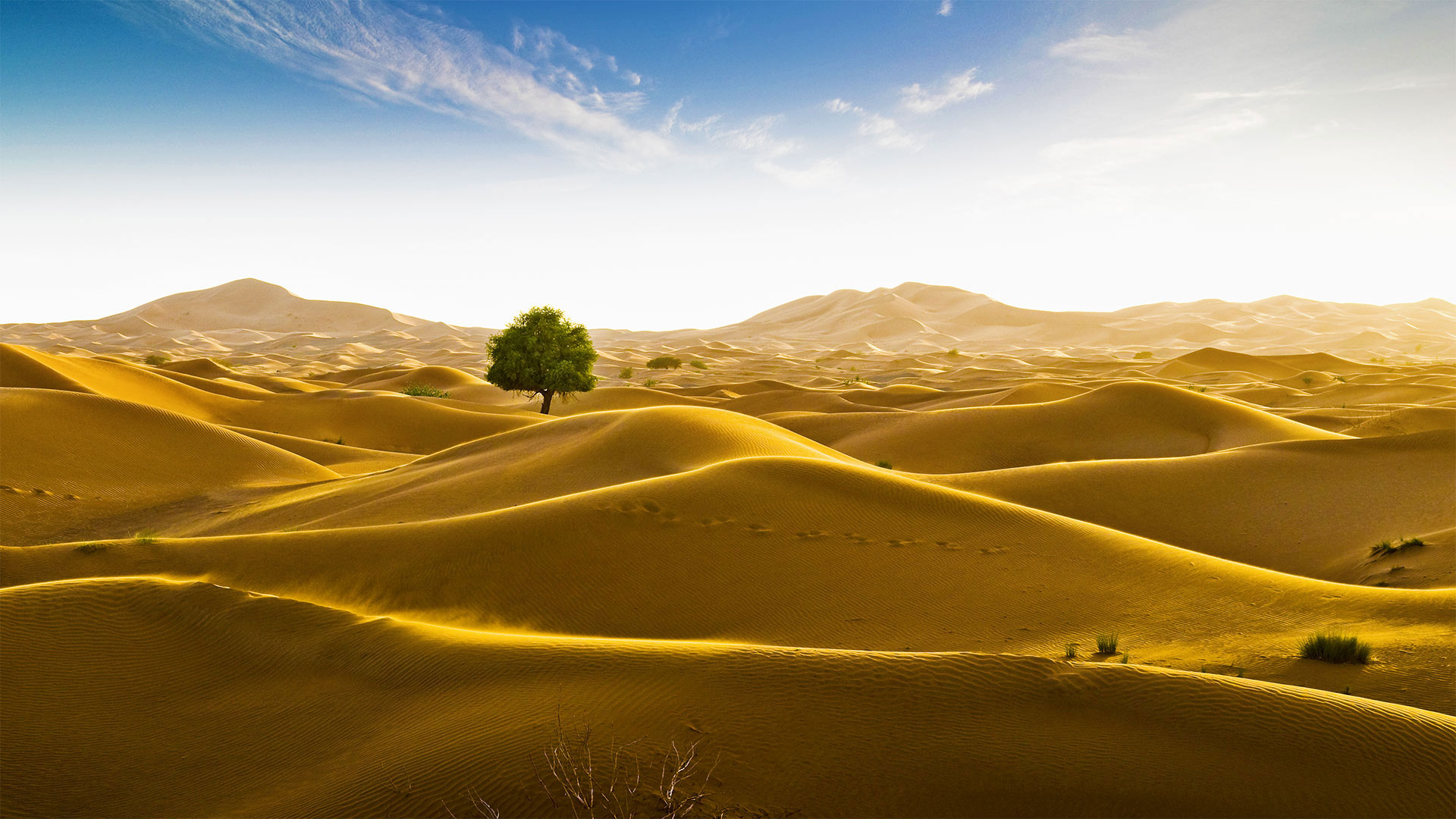 Rub' al Khali desert on the border of Oman and the Emirate of Dubai - Daniel Schoenen/Offset by Shutterstock)