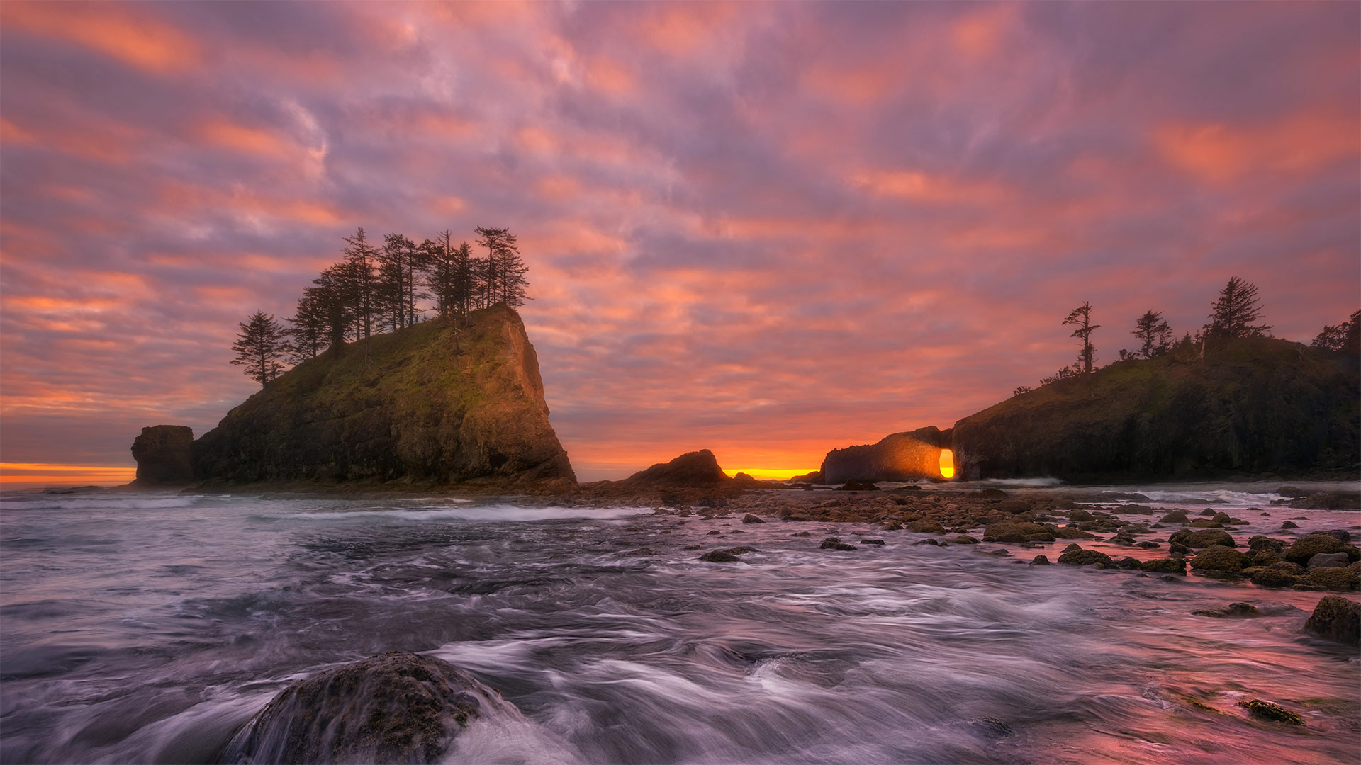 The shoreline of Olympic Coast National Marine Sanctuary, Washington state - Chris Moore/Tandem Stills + Motion)