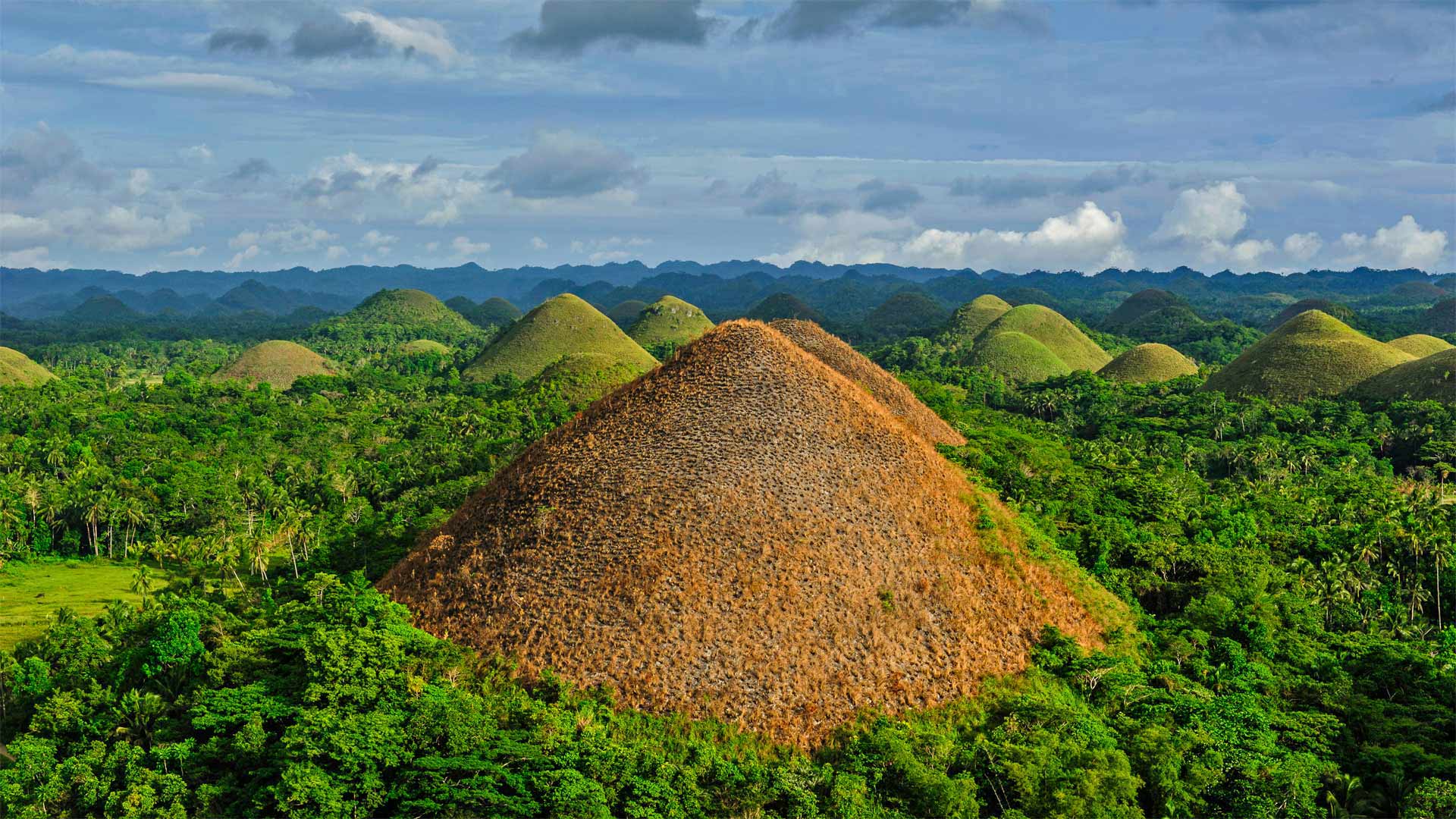 Chocolate Hills in Bohol, Philippines - Danita Delimont/Offset by Shutterstock)