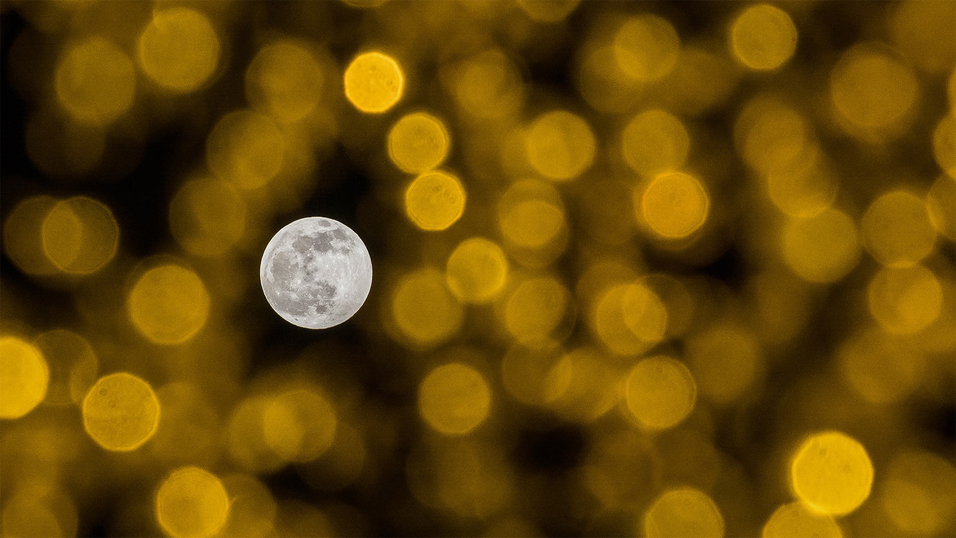 The December full moon seen through holiday lights - Jesus Merida/Getty Images)