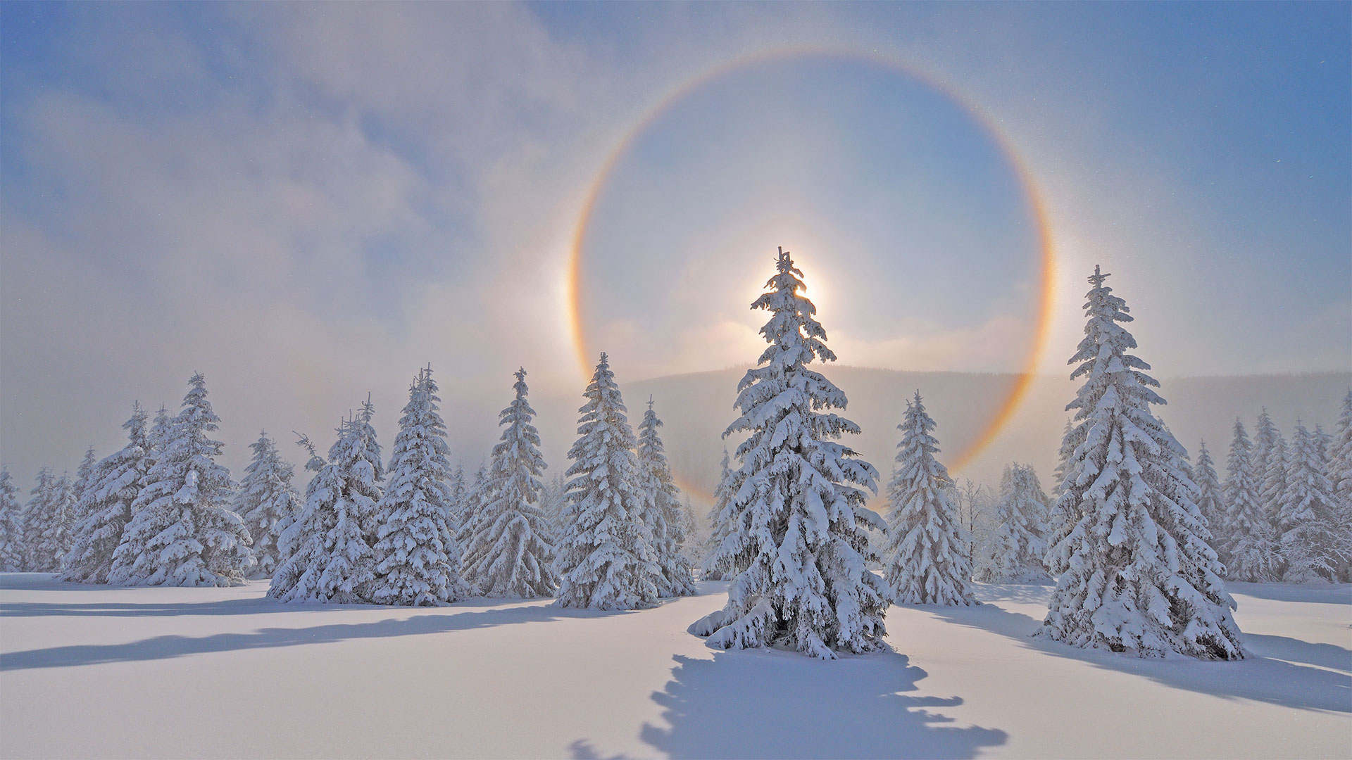 Halo around the sun in the Ore Mountains, Saxony, Germany - Martin Ruegner/Getty Images)