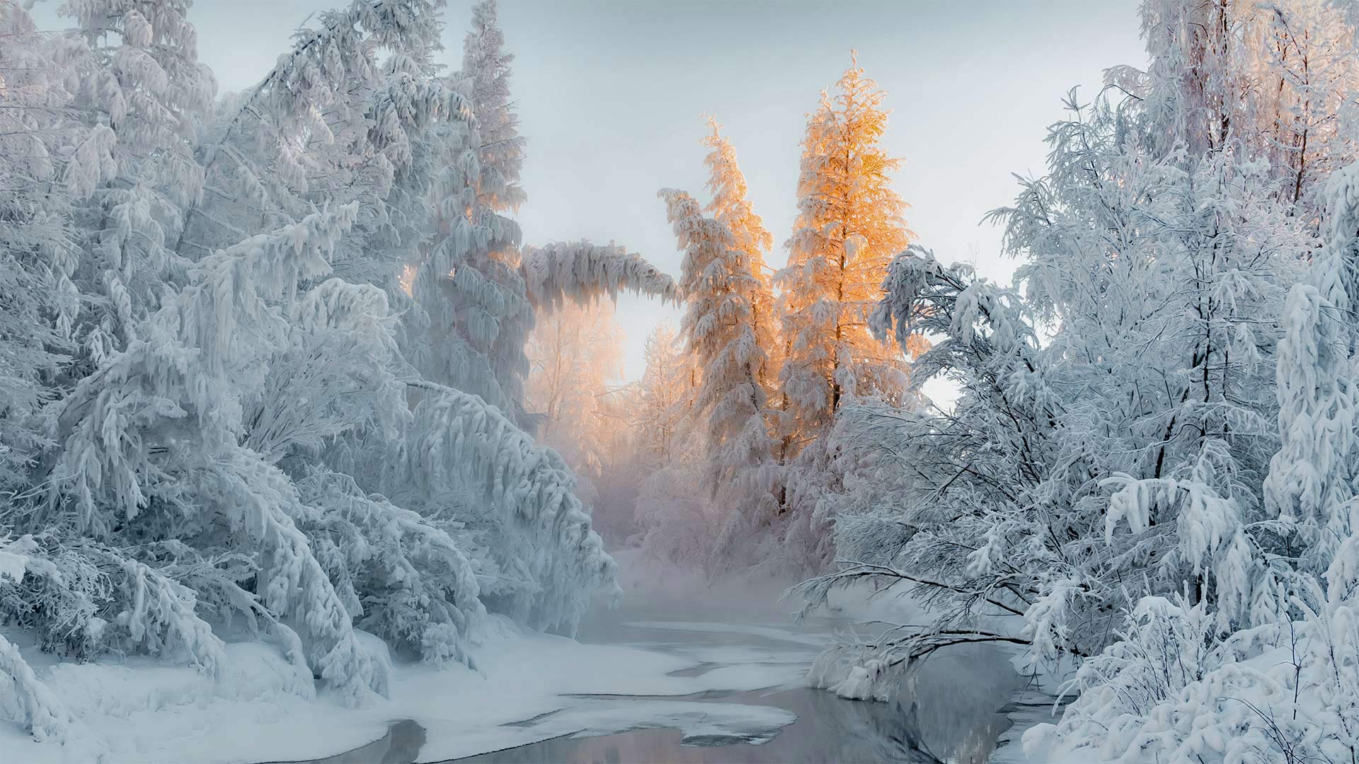 Winter in Oymyakon, Russia - Alexandr Berdicevschi/Getty Images)
