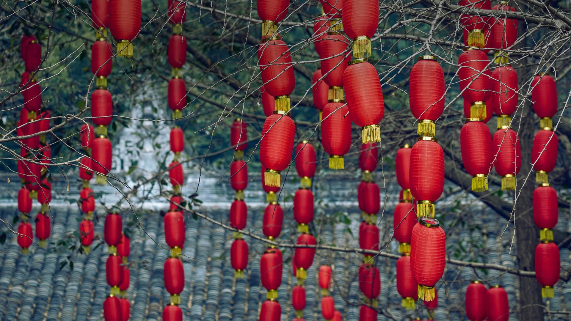 Red lanterns hanging on trees during the Lantern Festival in Chengdu, Sichuan, China - Philippe Lejeanvre/Getty Images)