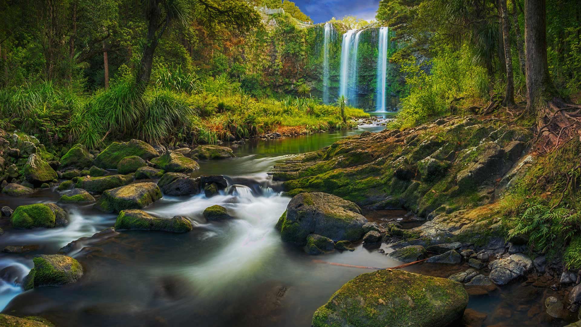 Whangārei Falls near the city of Whangārei, North Island, New Zealand - Nathan Kavumbura/Getty Images)