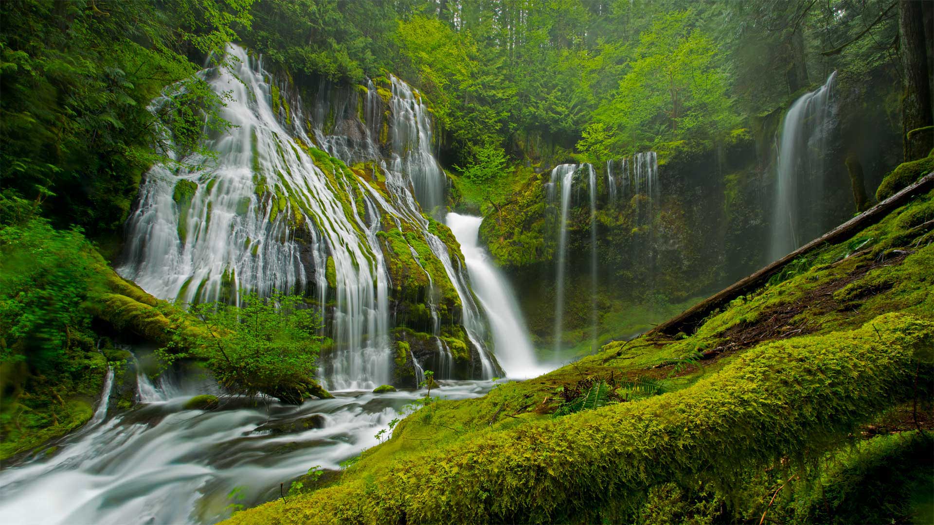 Panther Creek Falls in spring, Gifford Pinchot National Forest, Washington - Stephen Matera/Tandem Stills + Motion)