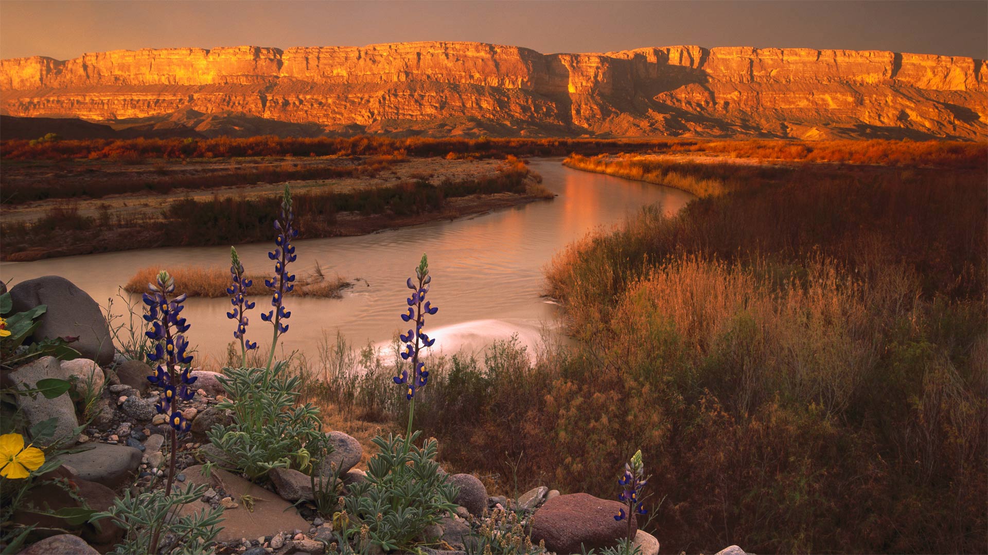 Cliffs of the Sierra Ponce and Rio Grande, Big Bend National Park, Texas - Tim Fitzharris