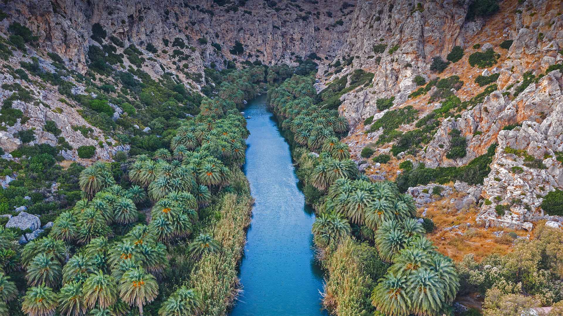 Preveli Gorge with river and palm tree forest, Crete, Greece - borchee/Getty Images)