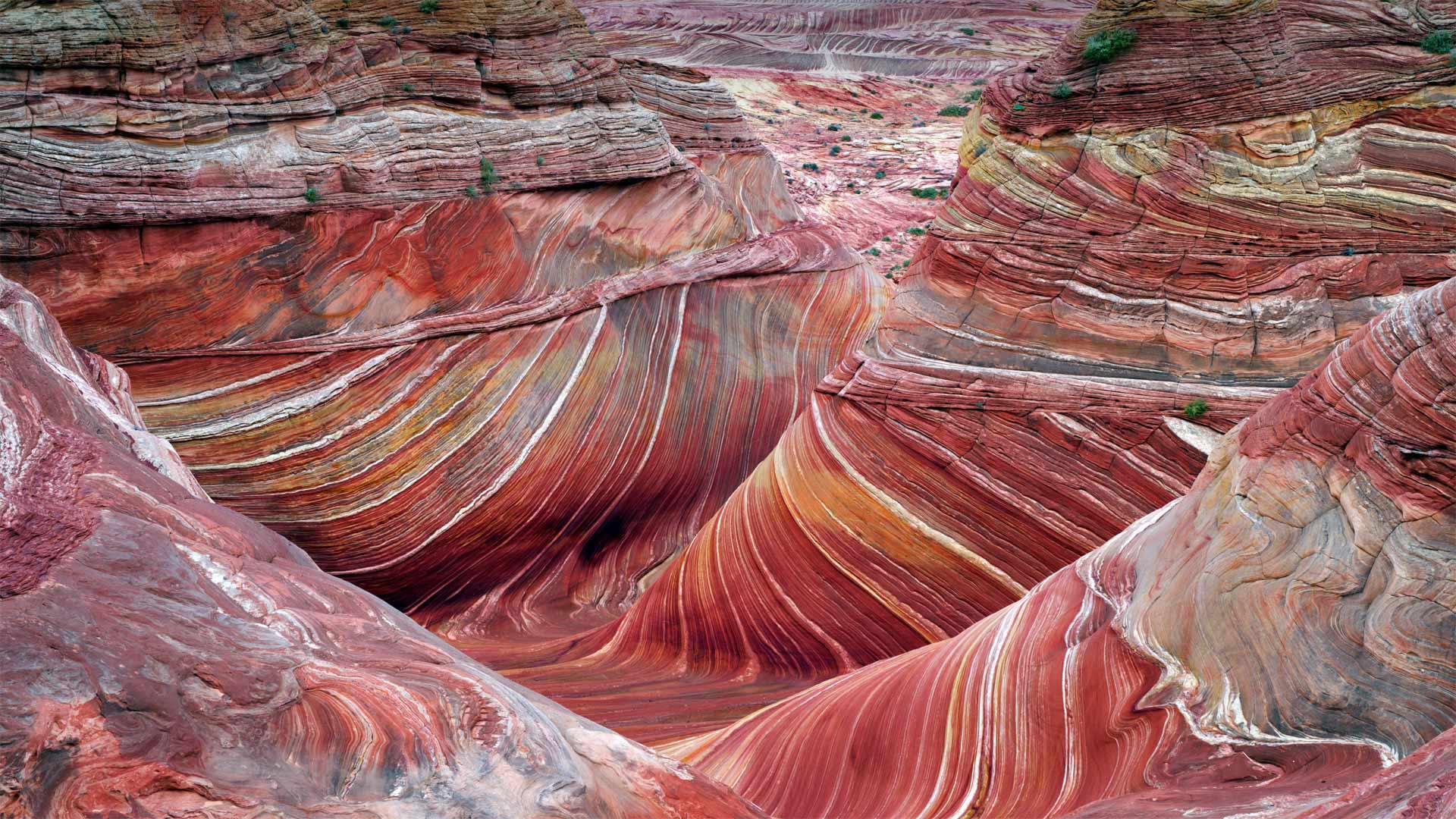 The Wave sandstone formation in Coyote Buttes North, Paria Canyon-Vermilion Cliffs National Monument, Arizona - Dennis Frates/Alamy)