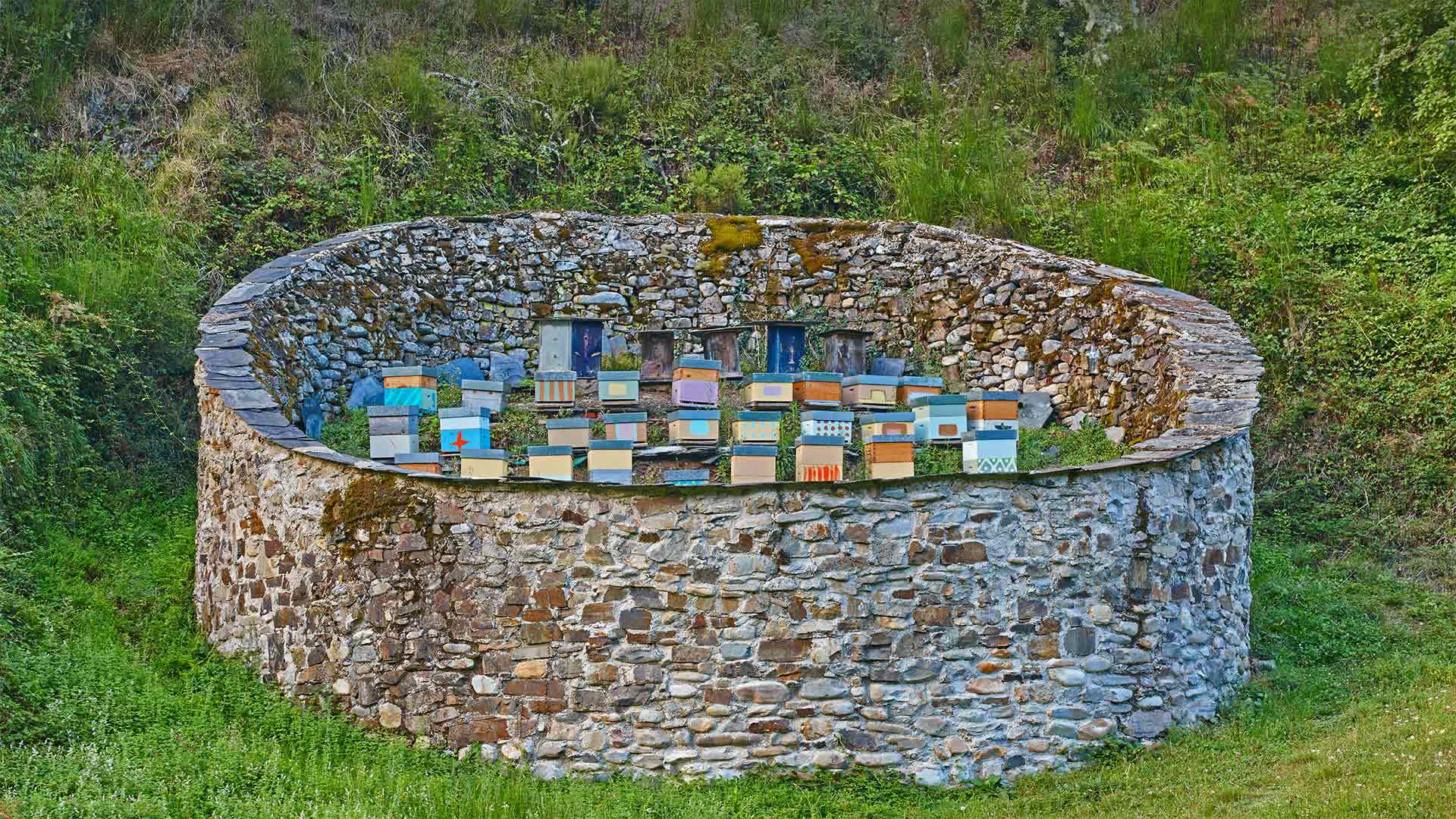 Beehives in the Muniellos Nature Reserve, Asturias province, Spain - ABB Photo/Shutterstock)