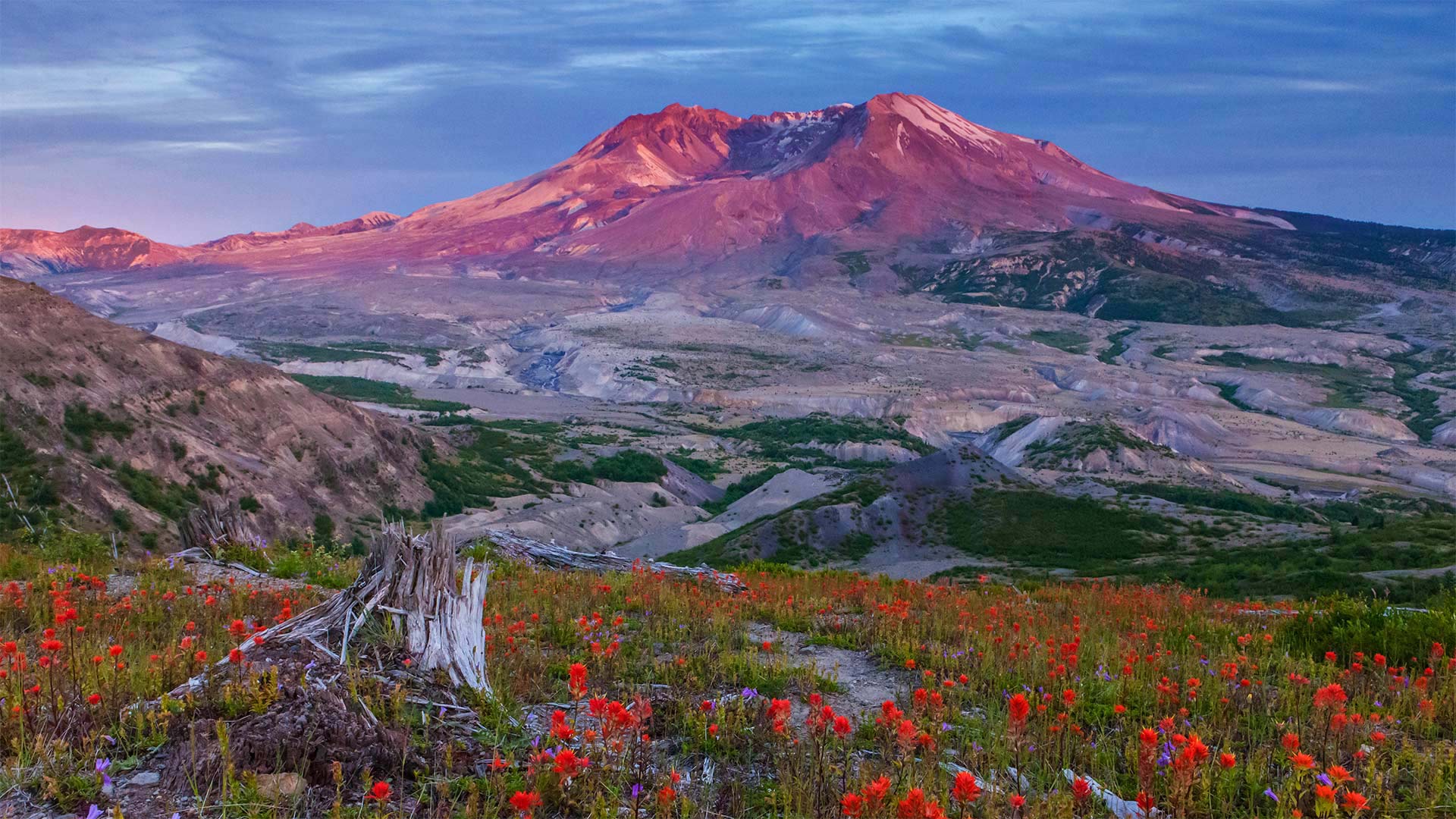 Boundary Trail in Mount St. Helens National Volcanic Monument, Washington - Don Geyer/Alamy)