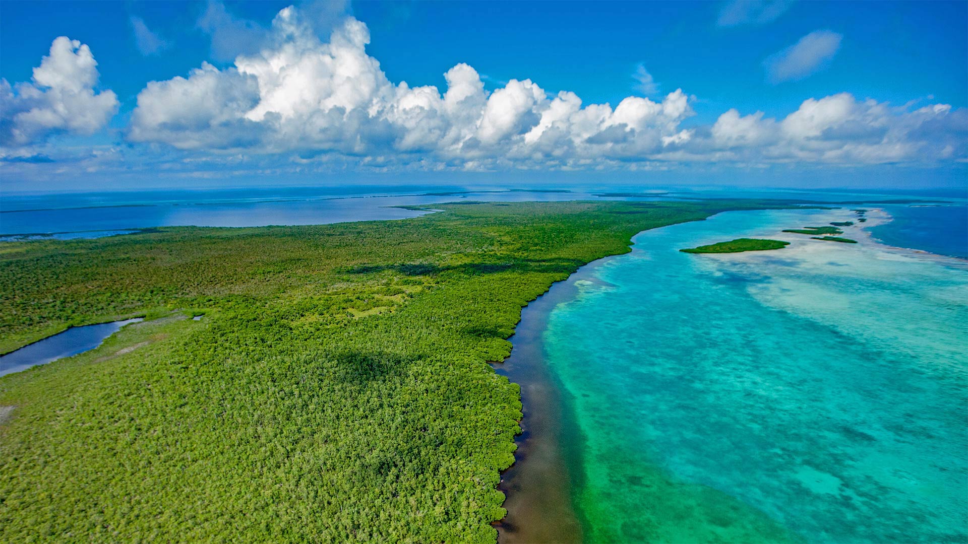 Lighthouse Reef, Blue Hole Natural Monument, Belize - Tom Till/Alamy)