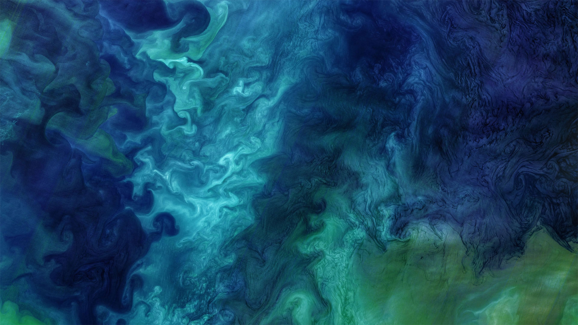 Phytoplankton blooming in the Chukchi Sea off the coast of Alaska - Norman Kuring/Kathryn Hansen/U.S. Geological Survey/NASA)