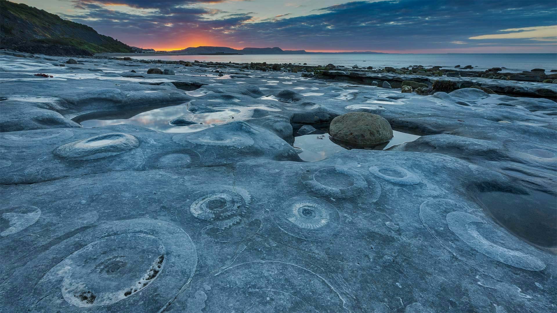 Ammonite Pavement at Monmouth Beach, Jurassic Coast World Heritage Site, Dorset, England - AWL Images/Danita Delimont)