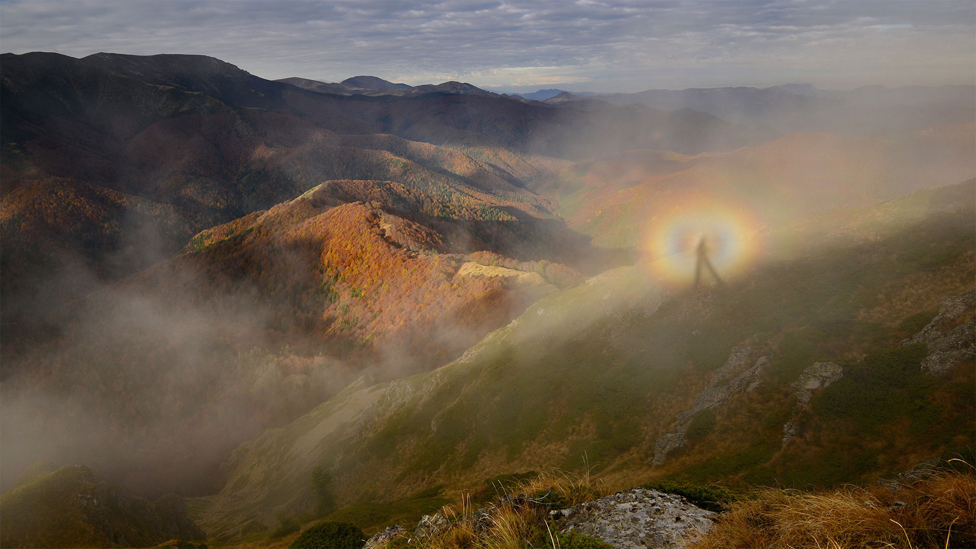 Brocken spectre in Central Balkan National Park, Bulgaria - Maya Karkalicheva/Getty Images)