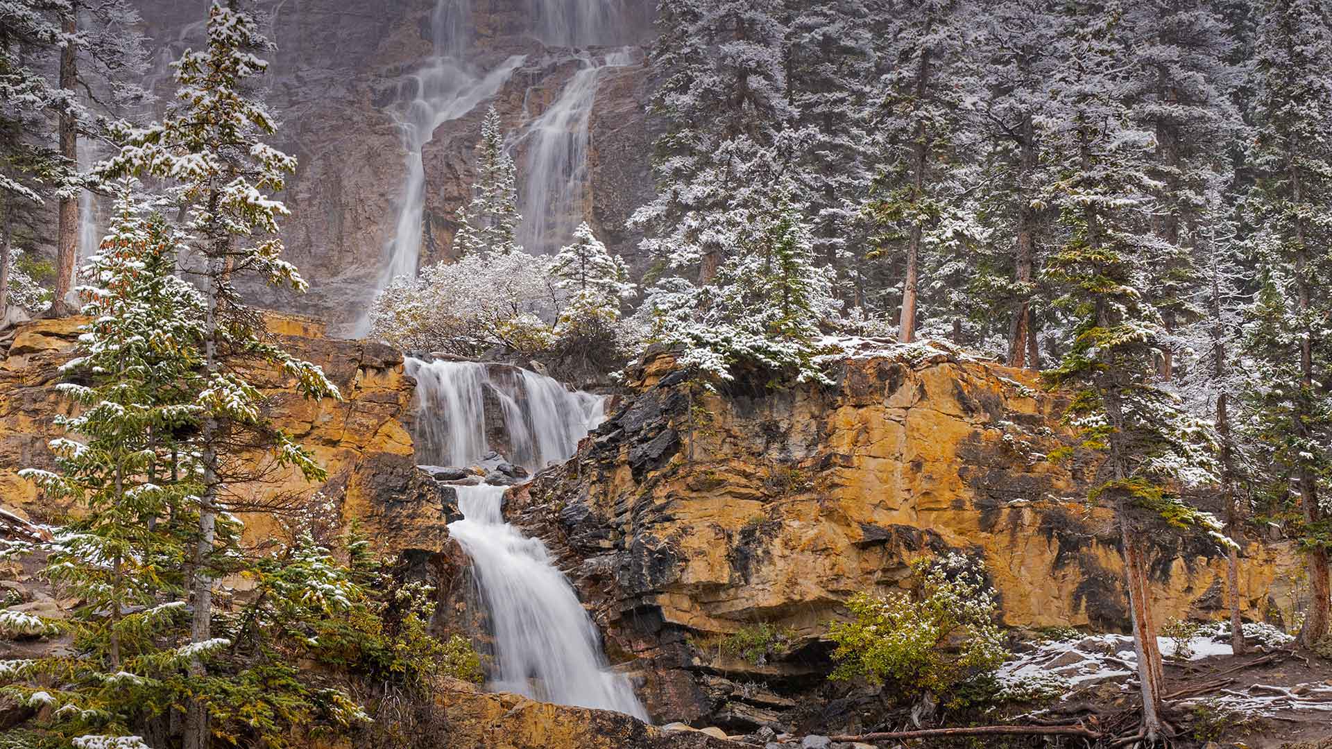 Tangle Creek Falls in Jasper National Park, Alberta, Canada - Jeff Foott