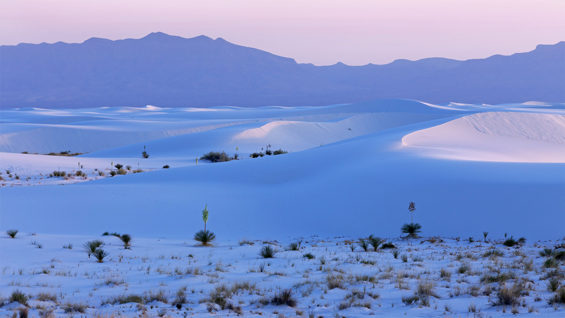 White Sands National Park, New Mexico - Andrea Harrell/Tandem Stills + Motion)