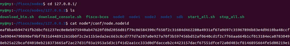 image-20250319102446424