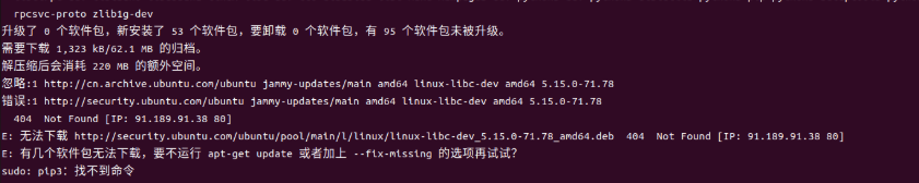 image-20250320110424625