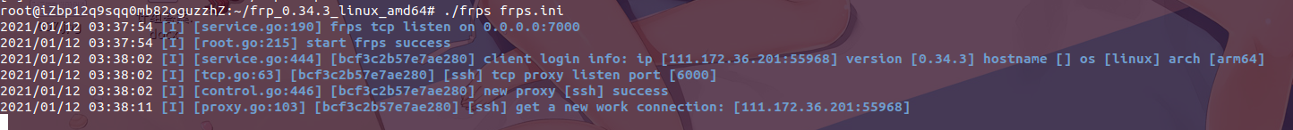 image-20210112033837994