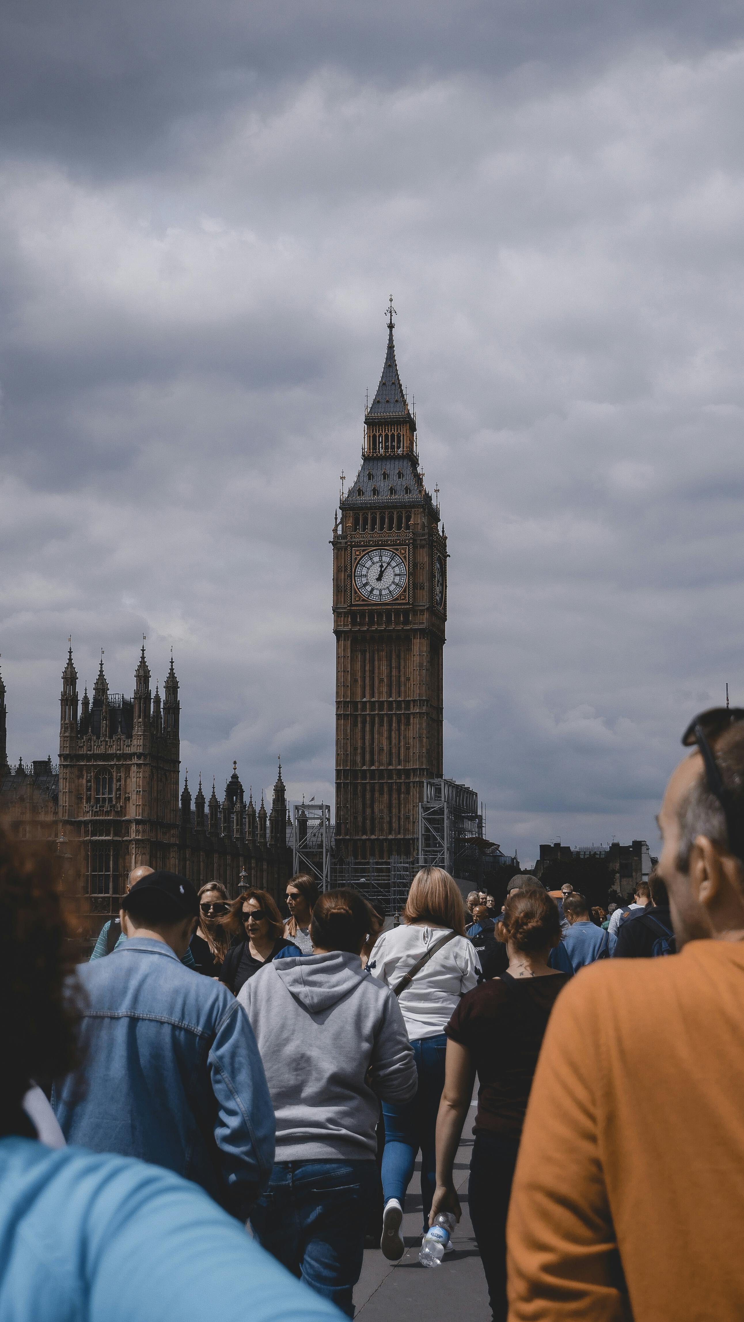 pexels-georgmp4-3577403.jpg