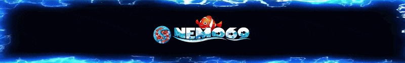 NEMO69 Logo