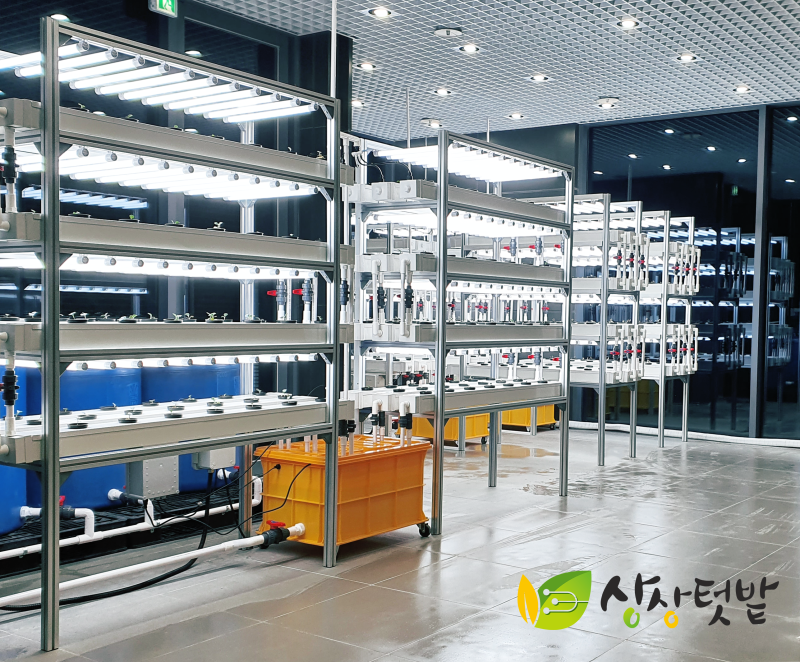 스마트팜 교육 (2021)