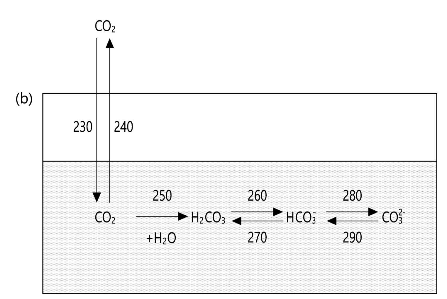 용존산소 농도 및 용존이산화탄소 농도 분석을 통한 수경재배 양액 내 조류 농도 추론 장치 및 방법