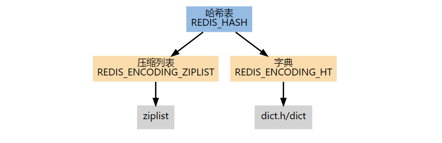 哈希表编码