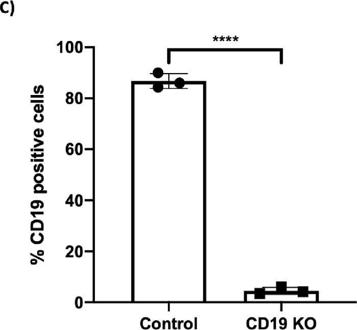 Figure 2C