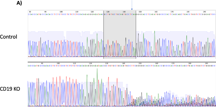 Figure 3A