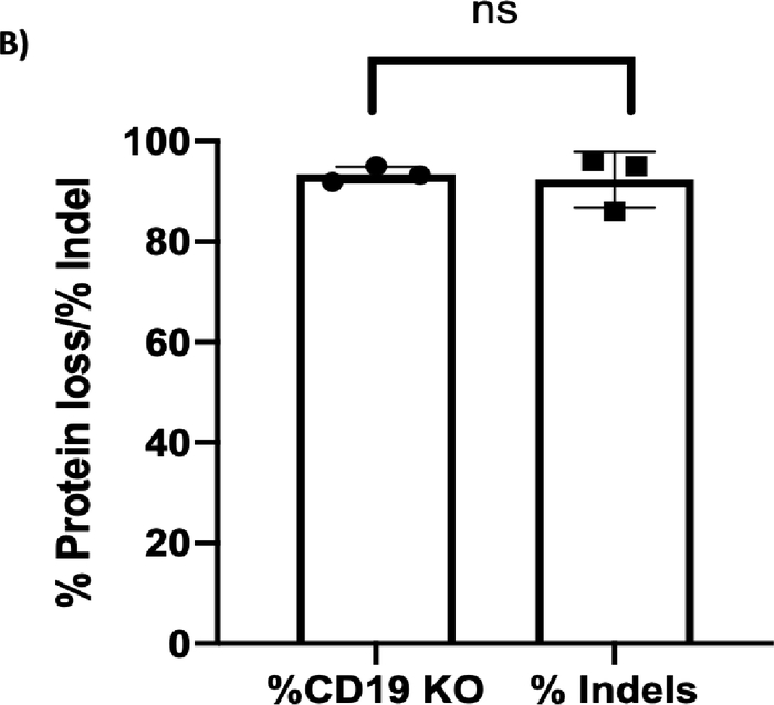 Figure 3B