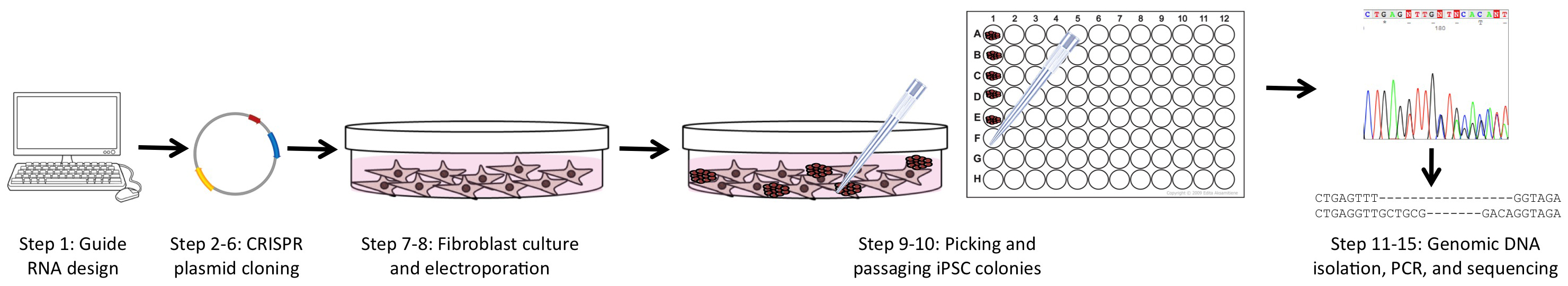 Fig1