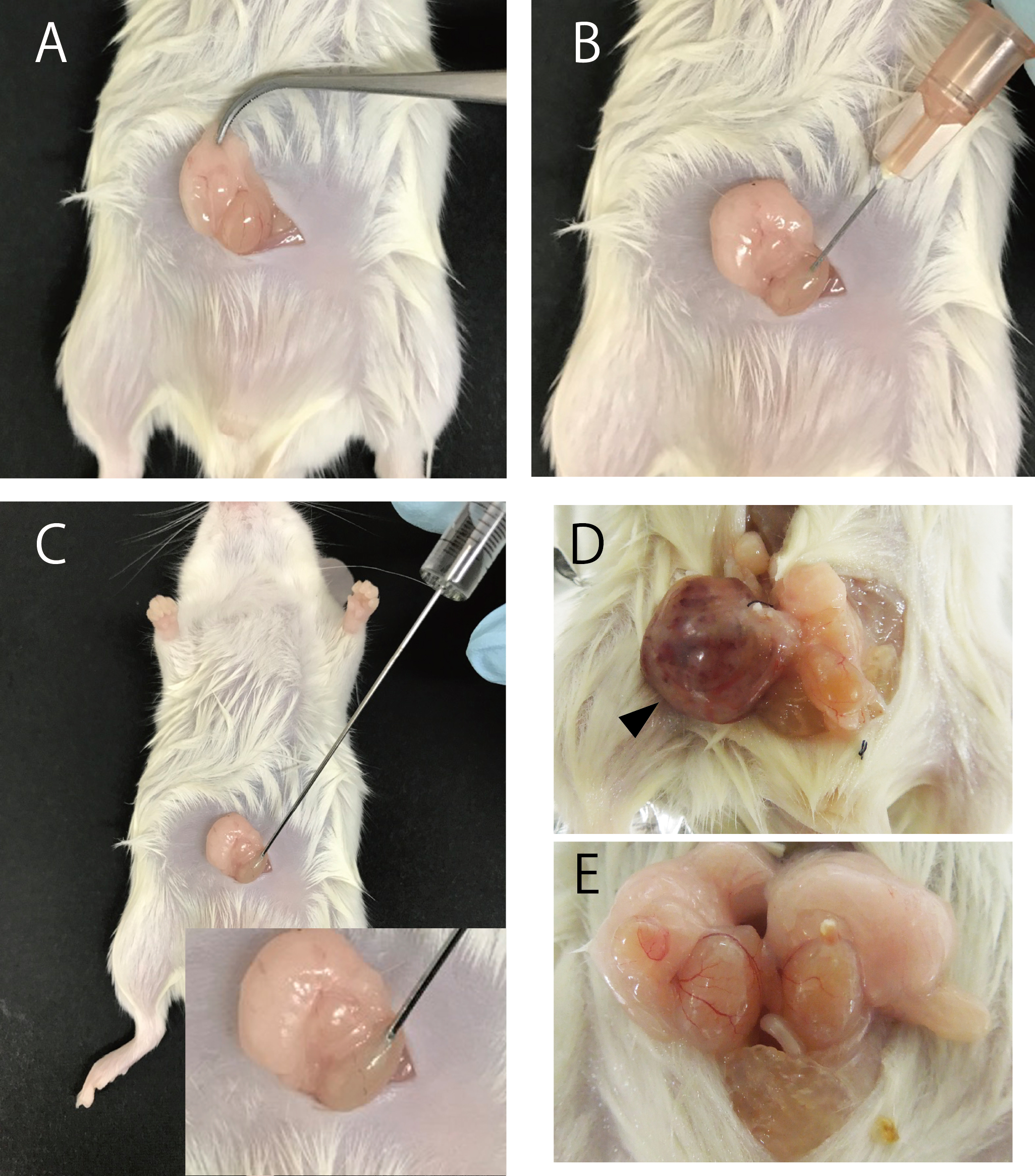 Figure2