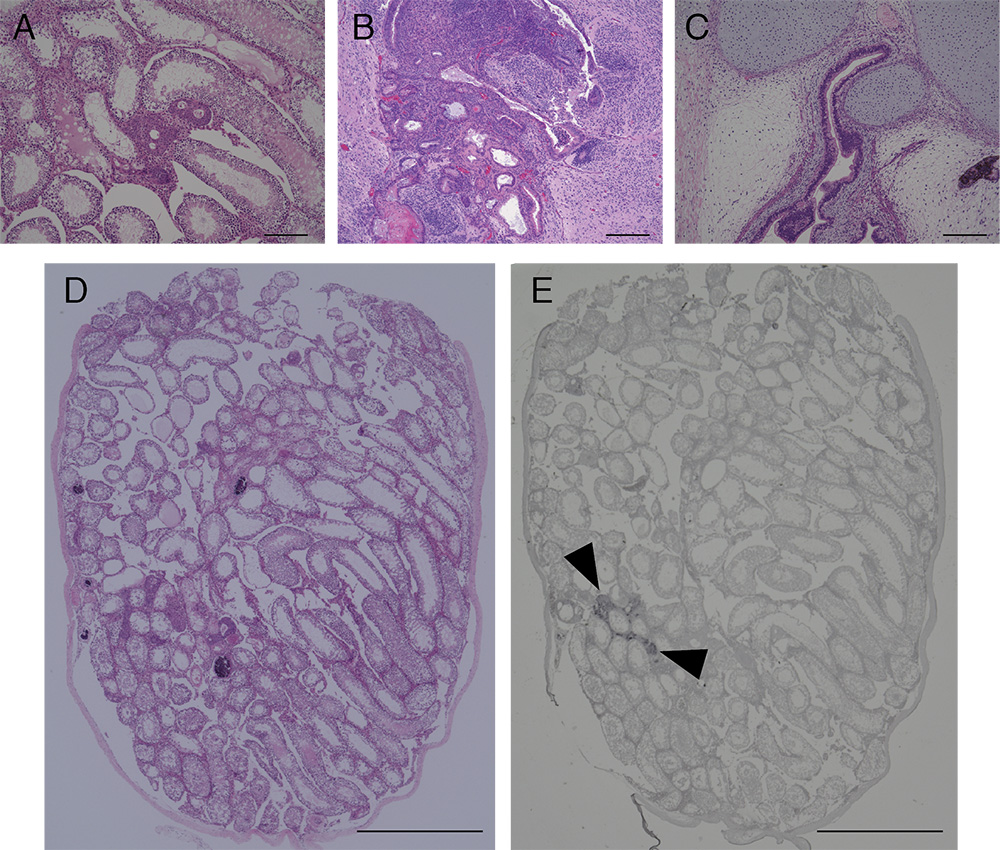 Figure3