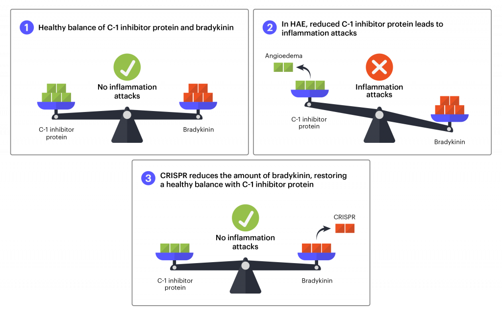 图表显示了如何使用 CRISPR 治疗遗传性血管性水肿