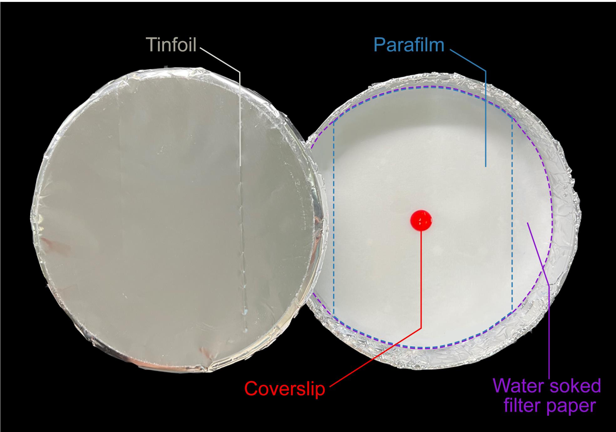 Figure3