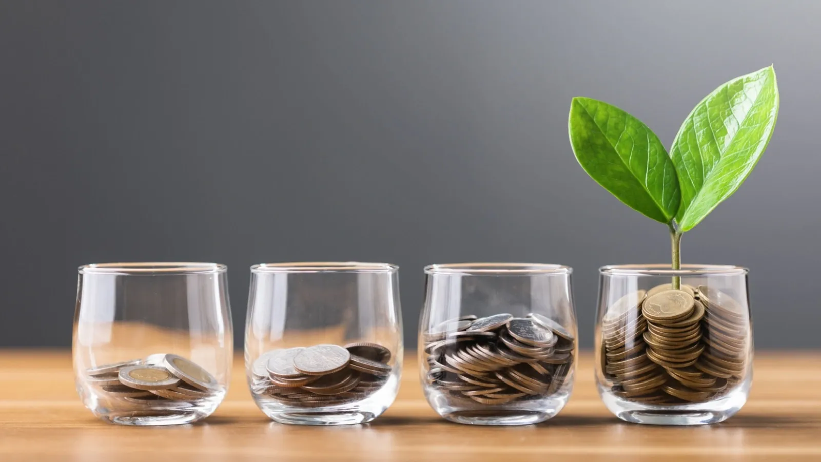 Indian Savers See PPF Rate Hold Steady at 7.1 Percent for Early 2026