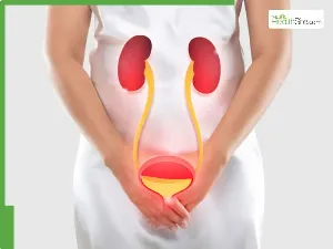 Contaminated Meat Linked to Nearly One-Fifth of US Urinary Tract Infections